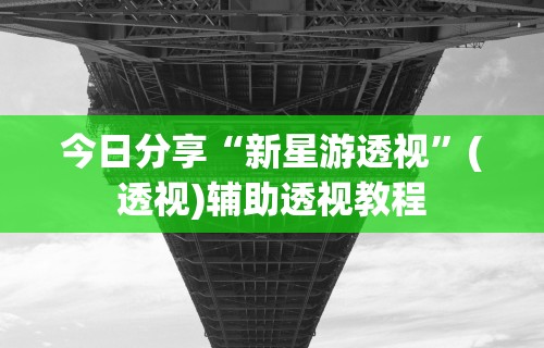 今日分享“新星游透视”(透视)辅助透视教程