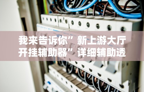 我来告诉你	”新上游大厅开挂辅助器”详细辅助透视
