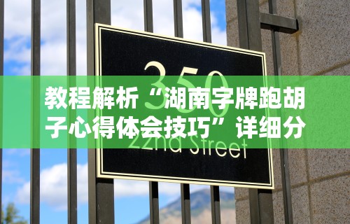教程解析“湖南字牌跑胡子心得体会技巧	”详细分享装挂步骤教程
