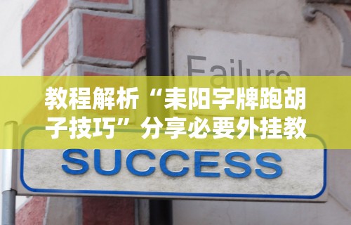 教程解析“耒阳字牌跑胡子技巧”分享必要外挂教程
