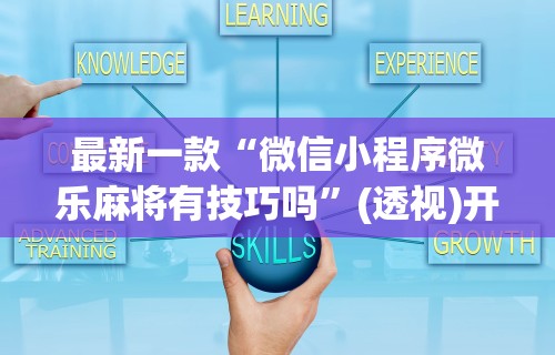 最新一款“微信小程序微乐麻将有技巧吗	”(透视)开挂辅助脚本+详细开挂安装教程