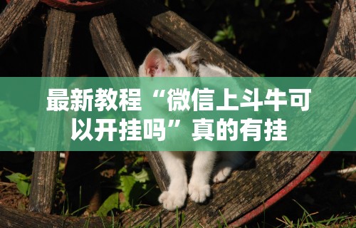 最新教程“微信上斗牛可以开挂吗”真的有挂