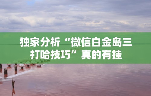 独家分析“微信白金岛三打哈技巧	”真的有挂