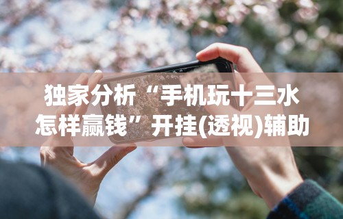 独家分析“手机玩十三水怎样赢钱”开挂(透视)辅助