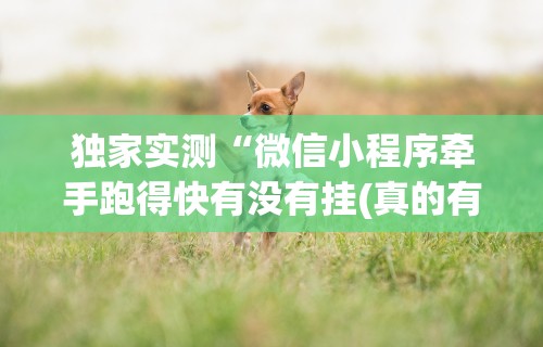 独家实测“微信小程序牵手跑得快有没有挂(真的有挂)