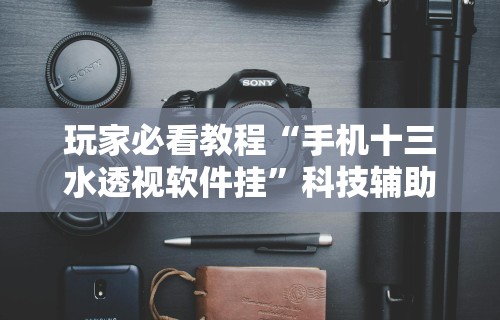 玩家必看教程“手机十三水透视软件挂”科技辅助神器手机版