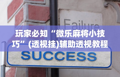 玩家必知“微乐麻将小技巧”(透视挂)辅助透视教程