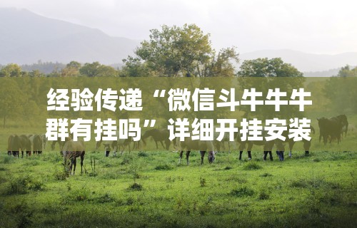 必备教程“相约麻将十三水怎样提高胜率	”辅助挂下载