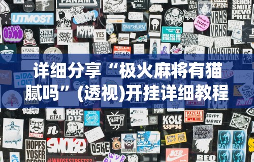 专家分析“微信斗地主小程序有没有挂”(详细透视教程)-知乎