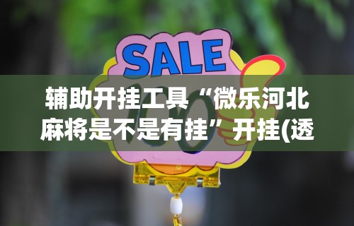 一键操作“真人天天麻将开挂神器下载安装”开挂辅助脚本+详细