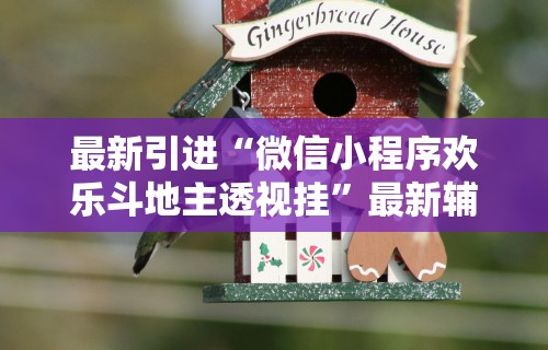 【玩家必看】“微乐麻将万能挂”作弊(透视)透视辅助