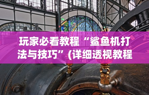 助赢神器“闲娱江西棋牌怎么拿好牌	”开挂辅助脚本+详细开挂