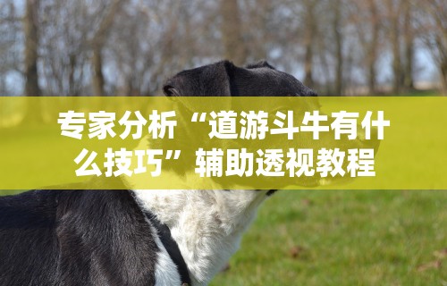 实操教程“微乐手机麻将开挂怎么安装(透视挂真的假的) 实操教程“微乐手机麻将开挂怎么安装(透视挂真的假的)