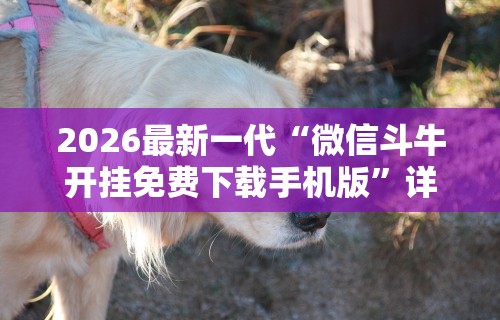 【第一消息】“一起宁德麻内挂辅助”辅助挂下载”(最新开挂教程)