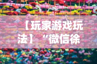 【玩家游戏玩法】“微信徐州麻将红中挂”(原来确实是有挂)