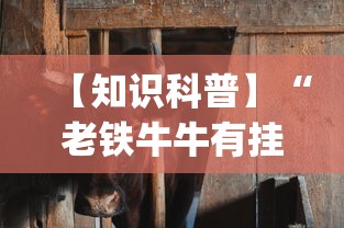 【知道】“微乐打麻将如何打赢人机”(透视曝光猫腻)