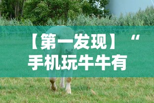 【第一发现】“手机玩牛牛有挂吗”-开挂神器-包教包会