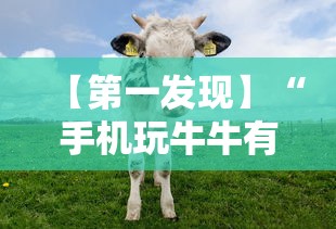 【第一发现】“手机玩牛牛有挂吗”-开挂神器-包教包会