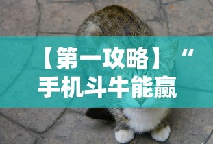 【第一攻略】“手机斗牛能赢钱吗	”确实可以使用辅助