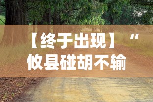 【终于出现】“攸县碰胡不输的技巧”(果然有透视挂)