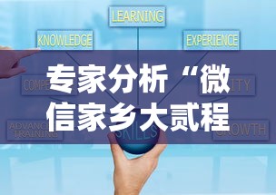 专家分析“微信家乡大贰程序让你一直输”详细辅助透视