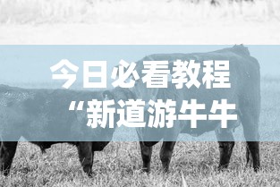 今日必看教程“新道游牛牛透视	”(原来确实是有插件)