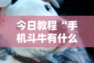 今日教程“手机斗牛有什么规律吗”有挂详细开挂教程