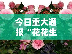 今日重大通报“花花生活圈有挂吗”掌握辅助功能必胜规则