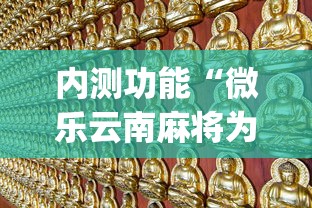 内测功能“微乐云南麻将为什么一直输”(详细开挂教程)