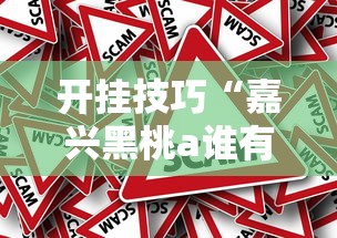 开挂技巧“嘉兴黑桃a谁有挂合作”附开挂脚本详细步骤